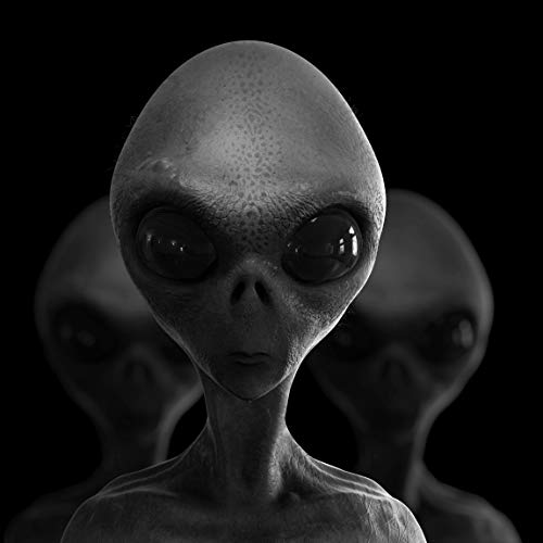The Extraterrestrial Species Almanac: The Ultimate Guide To Greys, Reptilians, Hybrids, And Nordics (Mufon) #TOP6