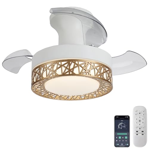 Ventilateur de plafond avec éclairage LED connecté application mobile ventilateur silencieux CC