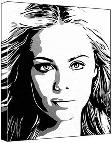 Laura Vandervoort (100% Original Painting. Not A Print ) Acrylic Paint On Deep Framed Canvas (60 x 50 x 1.8 cm) 3-Colour Black/Grey/White-image-30
