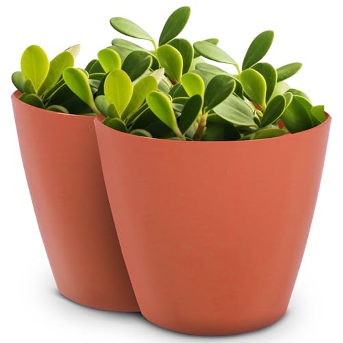 Headwind Charlevoix Planters– 12' 2 Pack Plastic Plant Pot in Tango Orange, Indoor & Outdoor Pots for Plants with Drillable Drainage Hole, Decorative Plant Pot, Flower Pots Outdoor for Garden