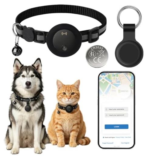 GPS Tracker für Katzen ohne Abonnement