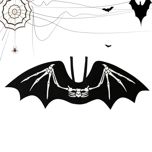 RE̗,nEB XgbvI p[eB[pi | KȃRX`[ zf[,J[joAʕANX}XAXe[WpARXvC[AoDAlAq