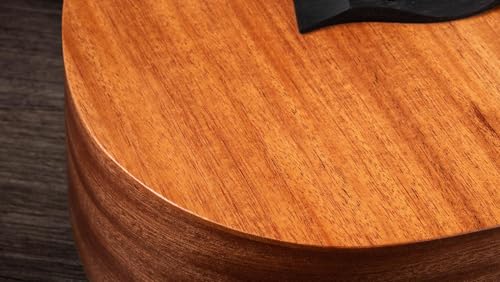 Image of Taylor BT2 - Mahogany Top