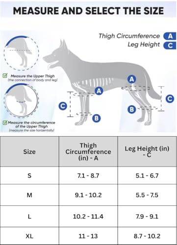 Image of Dog Knee Brace - Test Version (Small)