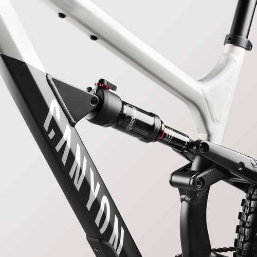 Canyon Spectral 125 AL 5