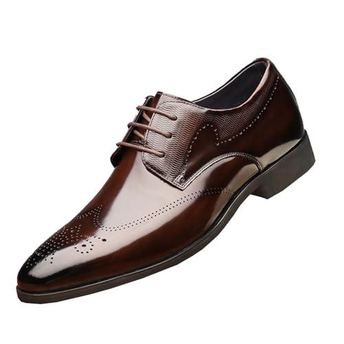Men's Dress Shoes Oxford Shoes Lace up Fashion Wingtip Brogue Formal Business Derby Shoes for Men