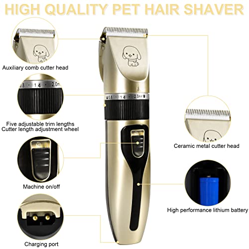 Tondeuse Chien Professionnelle,13 Pcs Tondeuse Chien,Lames en Céramique Amovibles et Lavables,Faible Bruit Rechargeable Electrique Tondeuse pour Chien et Chat Dog Clipper Kit (Doré) – Image 3