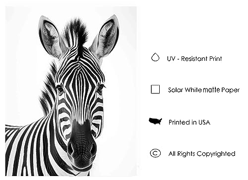 Zebra Black Framed Art Prints Posters, Black and White Animal Photography Wall Art, Wildlife Nature Photo, Exotic Animal Wall for Bathroom Bedroom Decor 71 (Zebra, 14"L x 11"W, Black Frame) by HomeArtPrint - Used condition - Image 5