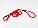 Nylon Rope Dog Whisperer Cesar Millan Style Slip Training Leash Lead and Collar (Red)