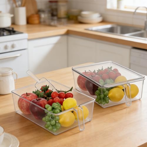 Set de 2 hieleras con tapa y palas plástico transparente miniatura 6