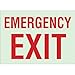Brady 90494, Glow-In-The-Dark Exit and Directional Sign, (Pack of 10 pcs)