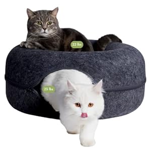 CATTASAURUS Peekaboo Cat Cave for Multiple & Large Cats Up to 30-45 Lbs, Scratch Detachable & Washable Tunnel Bed, Comfy Donut Cat Cave (Dark Gray, Large)