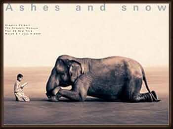 Amazon.co.jp: ポスター グレゴリー コルベール Ashes and snow 象に本