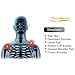 Far Infrared Heating Brace with Heating/Thermal Pad and Ice Pack for Slap Tear, Labral Tear and Frozen Shoulder, Shoulder Pain (PW110)