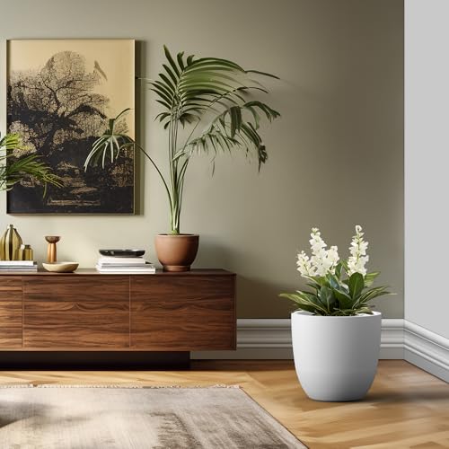 Image of Kante 18 inch Dia Round Concrete Planter, Large Bowl Pot, White