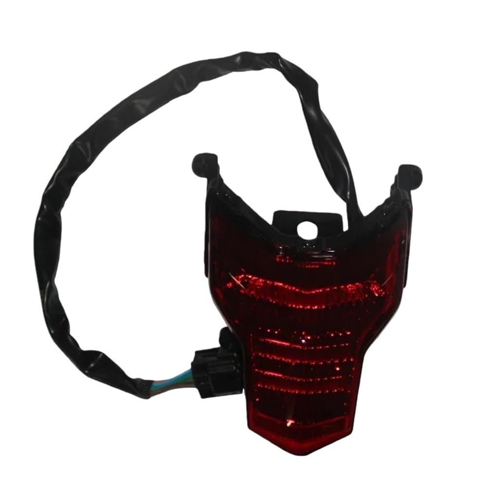 Luz trasera parada Loncin LX300GY de freno con falda posterior 3