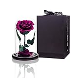 Preserved Roses Purple Roses in Glass Dome, Medium, Preserved Flowers for Women
