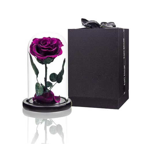 Preserved Roses Purple Roses in Glass Dome, Medium, Preserved Flowers for Women