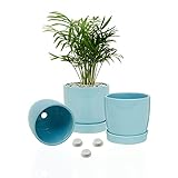 Ceramic Pots - 4.6 Inch Ceramic Flower Plant Pots with Drainage Holes and Ceramic Tray,Gardening Home Desktop Office Windowsill Decoration Gift, Set of 3,no Plant Included (Blue)