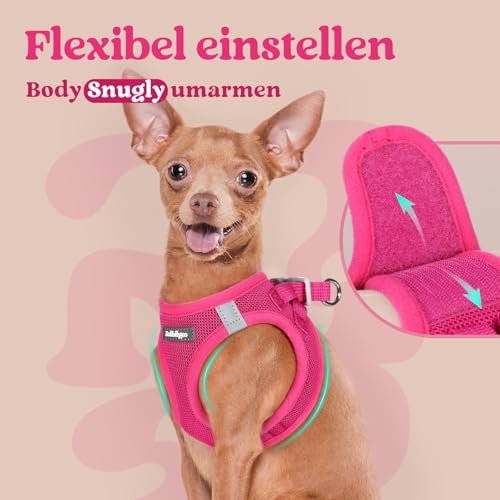rabbitgoo Hundegeschirr Kleine Hunde, Step-in Welpengeschirr Weich Mesh für Spaziergänge, Atmungsaktives und Reflektierendes Brustgeschirr für Kleine und Mittelgroße Hunde, Rosarot, XS