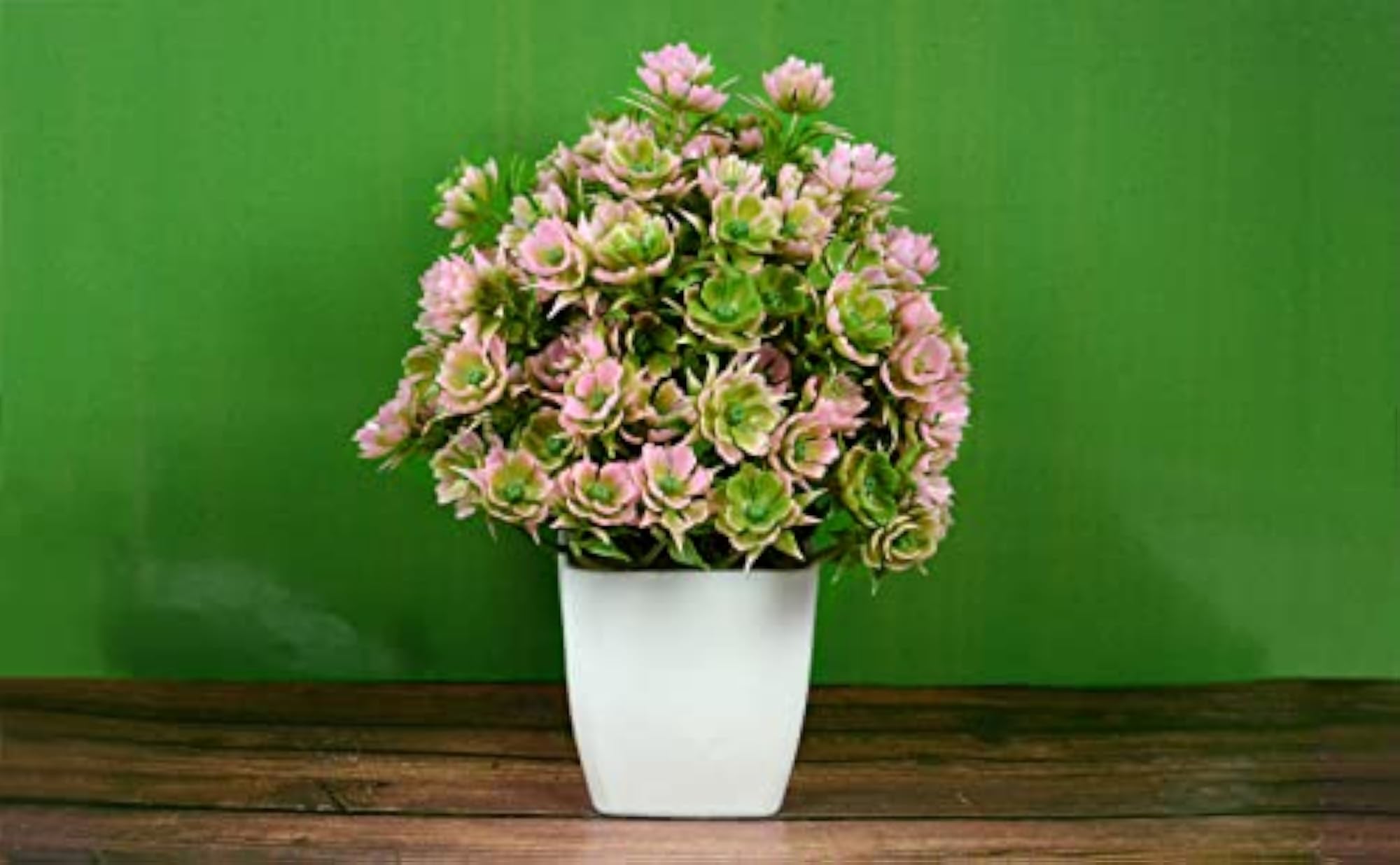 Beautiful Artificial Bonsai Plant with Pot