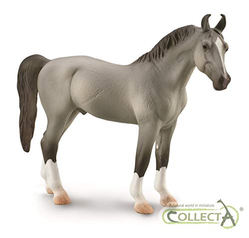 Collecta Chevaux (1:20 XL): : ÉTALON MARWARI Gris 14.8x10.8cm