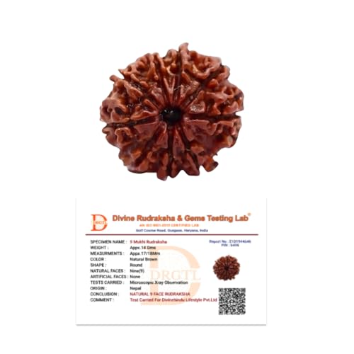Image of Divine Hindu 9 Mukhi Nepali Rudraksha Natural Loose Bead Nine Face Original Certified Nau Mukhi Fearless Protection Spiritual | Natural Brown Prayer Beads for Meditation, Success & Protection 18mm