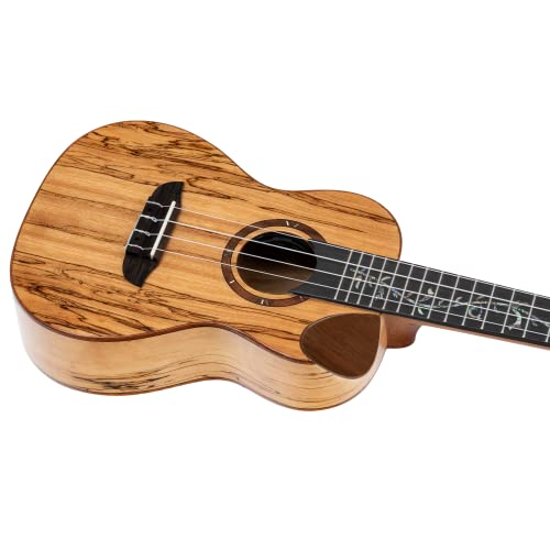 Ukulélé Concert électro-acoustique Ortega Guitars – Série Elite – housse incluse – Solid Spalted Maple (RUET-SMA) - Les Beatles, Paul McCartney, John Lennon, RIngo Starr, George Harrison Ukulélé Concert électro-acoustique Ortega Guitars - Série Elite - housse incluse - Solid Spalted Maple (RUET-SMA) – Image 8