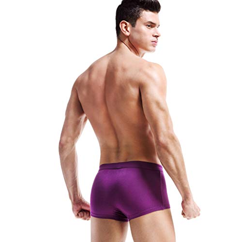 Men Mesh Boxer Briefs Stretchy Elephant Nose Hollow Soft Quick-Dry Pouch Bikini Lightweight Breathable Underwear Trunks3