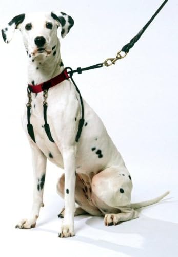 front attaching harness