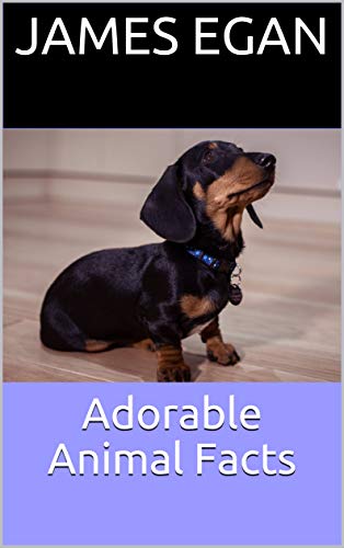 Adorable Animal Facts (English Edition)