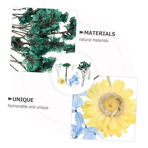 Flores prensadas secas para manualidades y decoración miniatura 4