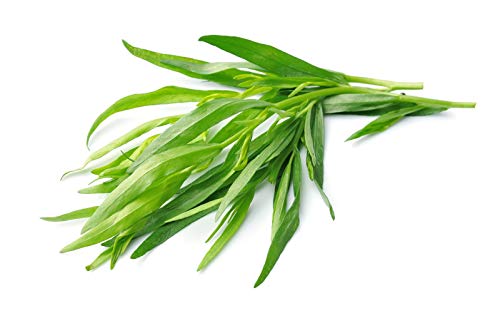 Tarragon Herb Seeds 25 Count COOL BEANS N SPROUTS Brand. Herb. Non-GMO. Home Gardening.