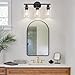 Zarbitta 3-Light Bathroom Light Fixtures, 17.23