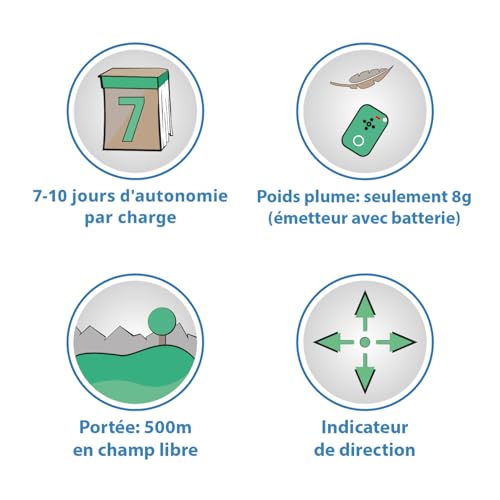 Traceur chat sans abonnement pour retrouver votre animal en toute sécurité