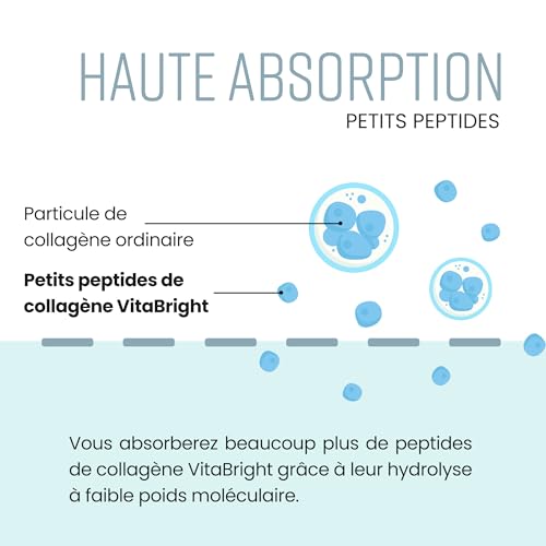 Peptide De Collagene Hydrolysé 500g, 50 Portions. Collagene Hydrolisé en Poudre, Peptides de Collagène Type 1 et 3 Pour Musculation et Sport, Collagene a Boire - VitaBright Collagen/Collagene Bovin – Image 7