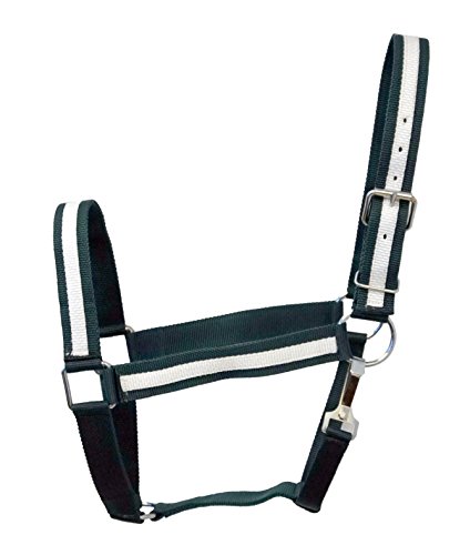 Equitem Draft Horse Size 2 Ply Nylon Halter with Stripe Accent (Dark Green with White)