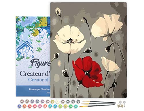 Figured'Art Peinture par Numéro Adulte avec Cadre Fleurs rouge et blanches - Activité Manuelle Kit de Loisir Créatif DIY Numéro d'Art Complet - 40x50cm toile tendue sur châssis