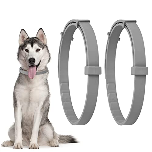 2 Pack Natural Flea Collar for Dogs with 8-Month Prevention, Waterproof Dog Flea and Tick Collar, Adjustable Flea and…