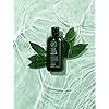 Tea Tree Special Shampoo, Deep Cleans, Refreshes Scalp, For All Hair Types, Especially Oily Hair, 10.14 fl. oz.