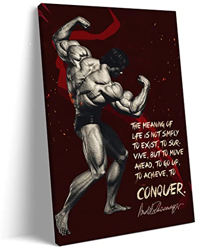 Arnold Schwarzenegger Poster Fitness Poster Schwarzenegger Bodybuilding Canvas Poster Wall Art Painting Suitable for Gym Poster EMXEE (8x12 Framed,C)