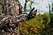 ScentLok Full Season Bow Release Glove Realtree Edge X-Large