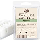 MINTY 2.5oz of 100% Pure & Natural Soy Candle Meltie/Tart/Melts made with Pure Spearmint and Peppermint Essential Oils