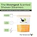 Tropical Refresh Shower Steamers Aromatherapy with Citrus Essential Oils,Made in The USA Shower Bomb Aromatherapy, Self Care Gift, Spa Day Gifts, Birthday Gifts, Gift for Her