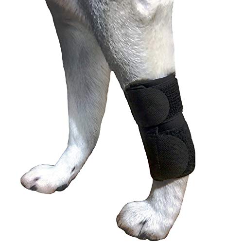 Dog Canine Front Leg Compression Brace Wrap Sleeve Protects Wounds Brace Heals and Prevents Injuries and Sprains Helps with Loss of Stability Caused by Arthritis by My Pro Supports (XXS/XS)