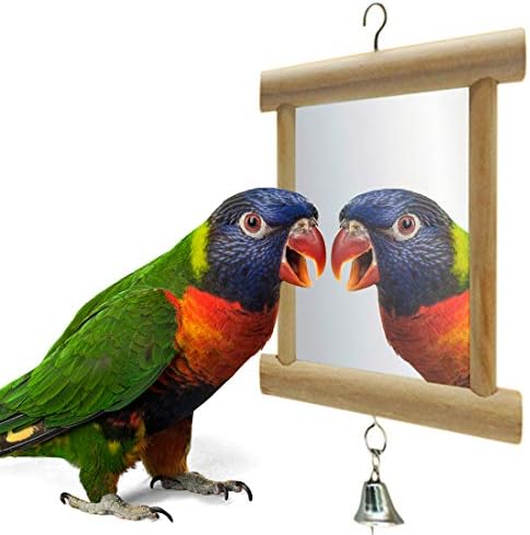 Bird Mirror, Wooden Double Mirror with Bell for Bird, 3.9 * 3.9inch/10 * 10 cm