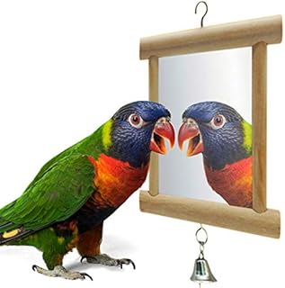 Bird Mirror, Wooden Double Mirror with Bell for Bird, 3.9 * 3.9inch/10 * 10 cm