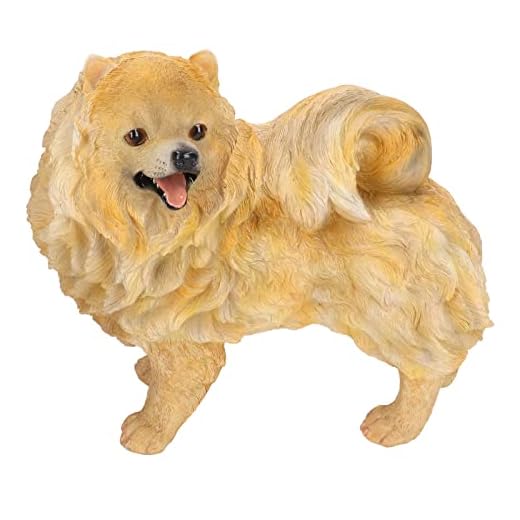 Figura de Pomerania, Adornos de Pomerania Adornos Realistas Muy Duraderos Estatuilla de Animales de Jardín para Sala de Estar para Jardín para Adultos