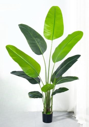 FILWY lHϗtA lHA tFCNA ^[O[Aؔ G} V~[Vgx[oii Aȗt ͂Ȃ CeA Ϗܗp pr gp (180 cmV~[Vloii-[Gti11tjyvX