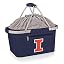 Illinois Fighting Illini